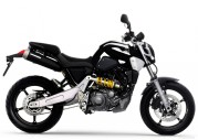 Yamaha MT-03